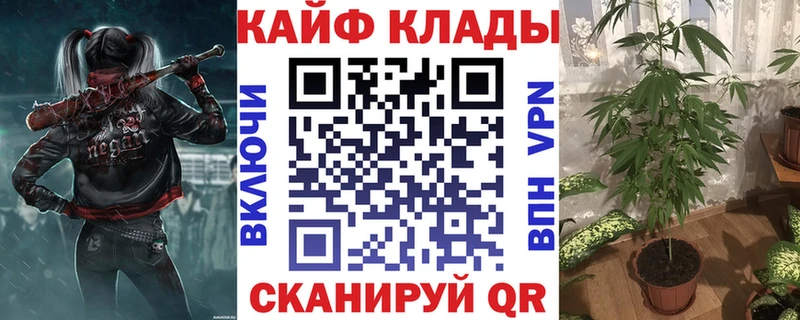 Магазин наркотиков Котельнич ГАШИШ  Меф 