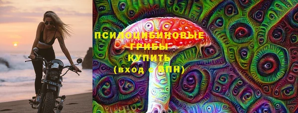 ГАЛЛЮЦИНОГЕННЫЕ ГРИБЫ Балабаново