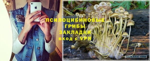 альфа пвп Россошь