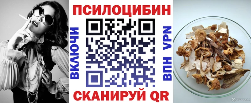 Псилоцибиновые грибы Magic Shrooms  Котельнич 